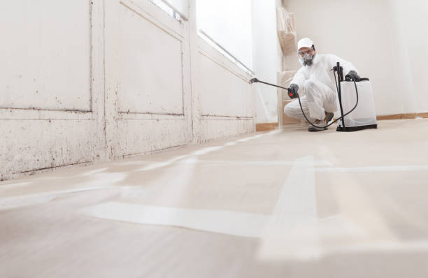 24/7 Emergency Mold Remediation experts in Falls Church, VA