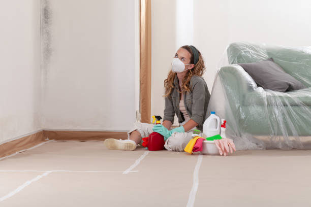 Reliable Mold Remediation contractor in Falls Church, VA by 24 Hour Mold Removal